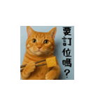 小花達のちょい笑スタンプ（台湾華語）（個別スタンプ：1）