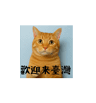 小花達のちょい笑スタンプ（台湾華語）（個別スタンプ：2）