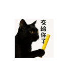 小花達のちょい笑スタンプ（台湾華語）（個別スタンプ：6）