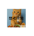 小花達のちょい笑スタンプ（台湾華語）（個別スタンプ：8）