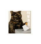 小花達のちょい笑スタンプ（台湾華語）（個別スタンプ：9）