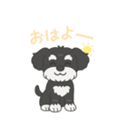 シュナウザー B＆S 日常①（個別スタンプ：1）