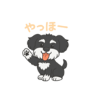 シュナウザー B＆S 日常①（個別スタンプ：4）