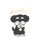 シュナウザー B＆S 日常①（個別スタンプ：5）