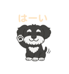 シュナウザー B＆S 日常①（個別スタンプ：6）
