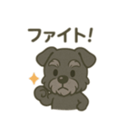 ミニシュナ君スタンプ（個別スタンプ：16）