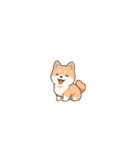 動物エフェクトスタンプ（個別スタンプ：16）