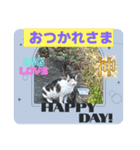 メンタル屋#あいさつ#猫#癒やし#いろいろ（個別スタンプ：7）