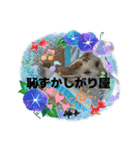 メンタル屋#あいさつ#猫#癒やし#いろいろ（個別スタンプ：11）