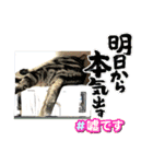 メンタル屋#あいさつ#猫#癒やし#いろいろ（個別スタンプ：14）