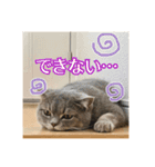 O次郎のいる生活（個別スタンプ：8）