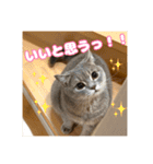 O次郎のいる生活（個別スタンプ：9）
