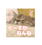 O次郎のいる生活（個別スタンプ：10）