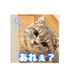 O次郎のいる生活（個別スタンプ：11）