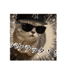 O次郎のいる生活（個別スタンプ：13）
