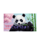 クールパンダスタンプ(アニメ調)（個別スタンプ：15）