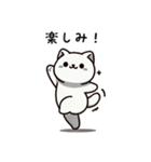 日常で使えるシンプル猫（個別スタンプ：20）