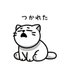 日常で使えるシンプル猫（個別スタンプ：24）