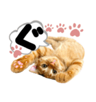 るぅ。の にゃんこ指定【がざだばぱ】（個別スタンプ：3）
