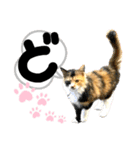 るぅ。の にゃんこ指定【がざだばぱ】（個別スタンプ：15）