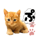 るぅ。の にゃんこ指定【がざだばぱ】（個別スタンプ：23）