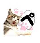 るぅ。の にゃんこ指定【がざだばぱ】（個別スタンプ：24）