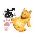 るぅ。の にゃんこ指定【がざだばぱ】（個別スタンプ：26）