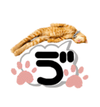 るぅ。の にゃんこ指定【がざだばぱ】（個別スタンプ：28）