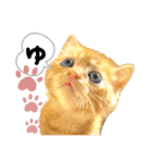 るぅ。の にゃんこ指定【がざだばぱ】（個別スタンプ：32）