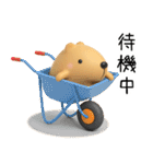 きゃぴばら3D（個別スタンプ：18）