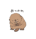 ふわふわチビーバー（個別スタンプ：8）