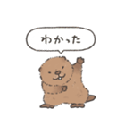 ふわふわチビーバー（個別スタンプ：11）