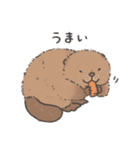 ふわふわチビーバー（個別スタンプ：17）