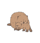 ふわふわチビーバー（個別スタンプ：34）