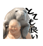 マナティーとポジティブデブの明るい返信（個別スタンプ：2）