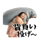 マナティーとポジティブデブの明るい返信（個別スタンプ：6）