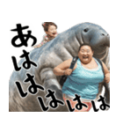 マナティーとポジティブデブの明るい返信（個別スタンプ：9）