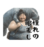 マナティーとポジティブデブの明るい返信（個別スタンプ：15）