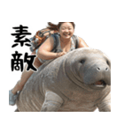マナティーとポジティブデブの明るい返信（個別スタンプ：20）