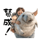マナティーとポジティブデブの明るい返信（個別スタンプ：21）