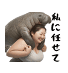 マナティーとポジティブデブの明るい返信（個別スタンプ：27）