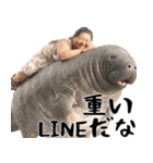 マナティーとポジティブデブの明るい返信（個別スタンプ：28）