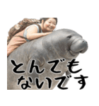 マナティーとポジティブデブの明るい返信（個別スタンプ：29）