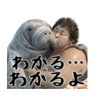 マナティーとポジティブデブの明るい返信（個別スタンプ：31）