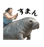 マナティーとポジティブデブの明るい返信（個別スタンプ：34）