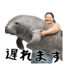 マナティーとポジティブデブの明るい返信（個別スタンプ：36）