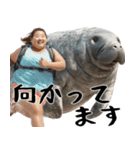 マナティーとポジティブデブの明るい返信（個別スタンプ：37）