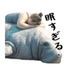 マナティーとポジティブデブの明るい返信（個別スタンプ：39）