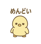 ぴよペンのぬくぬくスタンプ（個別スタンプ：3）
