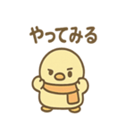 ぴよペンのぬくぬくスタンプ（個別スタンプ：5）